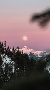 Preview wallpaper mountain, snow, sky, branches, moon