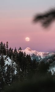Preview wallpaper mountain, snow, sky, branches, moon