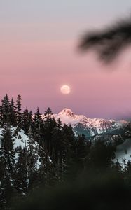 Preview wallpaper mountain, snow, sky, branches, moon