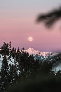 Preview wallpaper mountain, snow, sky, branches, moon