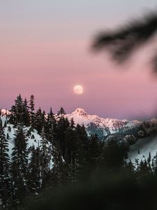 Preview wallpaper mountain, snow, sky, branches, moon