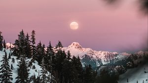 Preview wallpaper mountain, snow, sky, branches, moon