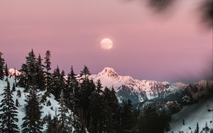 Preview wallpaper mountain, snow, sky, branches, moon