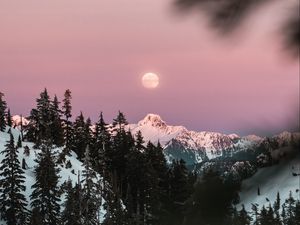 Preview wallpaper mountain, snow, sky, branches, moon