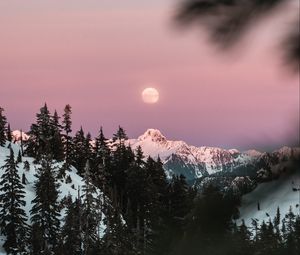 Preview wallpaper mountain, snow, sky, branches, moon