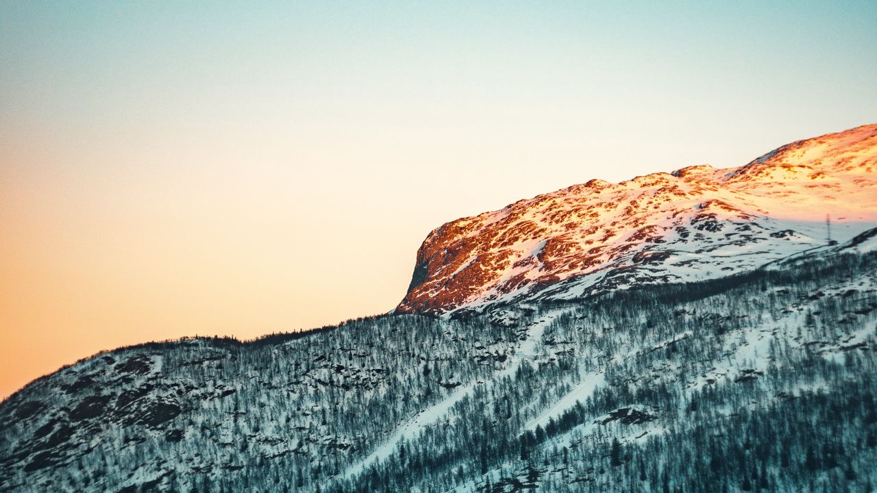 Wallpaper mountain, snow, slope, trees, nature