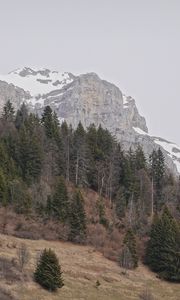 Preview wallpaper mountain, snow, slope, trees, dry, nature