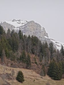 Preview wallpaper mountain, snow, slope, trees, dry, nature