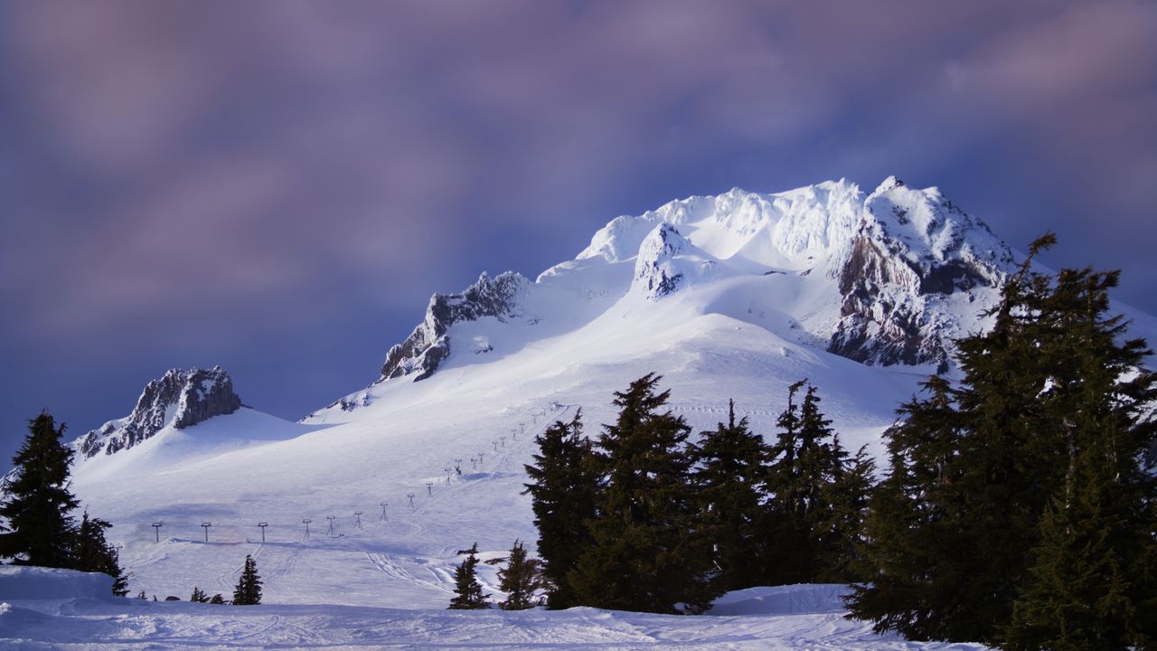 Wallpaper mountain, snow, slope, trees, winter