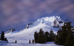 Preview wallpaper mountain, snow, slope, trees, winter