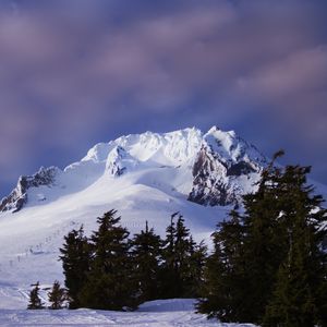 Preview wallpaper mountain, snow, slope, trees, winter