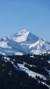 Preview wallpaper mountain, snow, slope, trees, nature, landscape