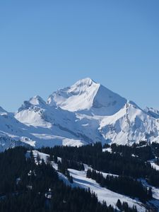 Preview wallpaper mountain, snow, slope, trees, nature, landscape