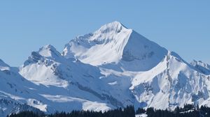 Preview wallpaper mountain, snow, slope, trees, nature, landscape