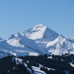 Preview wallpaper mountain, snow, slope, trees, nature, landscape