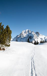 Preview wallpaper mountain, snow, traces, path, winter, landscape