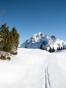 Preview wallpaper mountain, snow, traces, path, winter, landscape