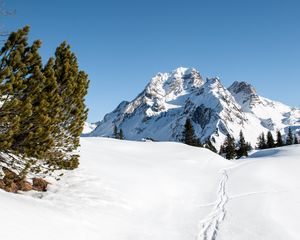 Preview wallpaper mountain, snow, traces, path, winter, landscape