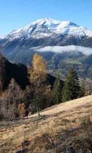 Preview wallpaper mountain, snow, trees, landscape, nature, grass