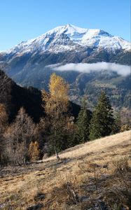 Preview wallpaper mountain, snow, trees, landscape, nature, grass