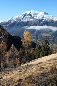 Preview wallpaper mountain, snow, trees, landscape, nature, grass