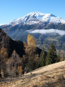 Preview wallpaper mountain, snow, trees, landscape, nature, grass