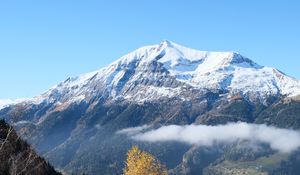 Preview wallpaper mountain, snow, trees, landscape, nature, grass