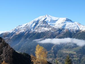 Preview wallpaper mountain, snow, trees, landscape, nature, grass
