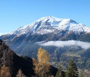 Preview wallpaper mountain, snow, trees, landscape, nature, grass