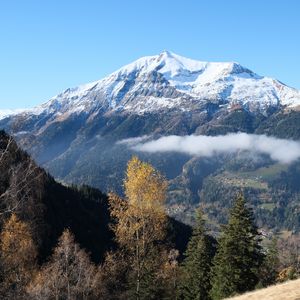 Preview wallpaper mountain, snow, trees, landscape, nature, grass