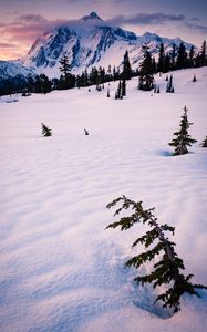 Preview wallpaper mountain, snow, trees, clouds, winter