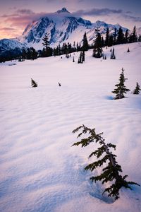 Preview wallpaper mountain, snow, trees, clouds, winter