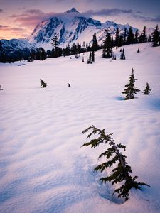 Preview wallpaper mountain, snow, trees, clouds, winter