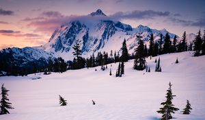 Preview wallpaper mountain, snow, trees, clouds, winter