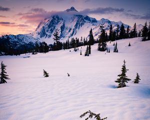 Preview wallpaper mountain, snow, trees, clouds, winter