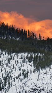 Preview wallpaper mountain, snow, trees, forest, sunset