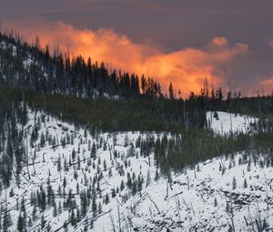 Preview wallpaper mountain, snow, trees, forest, sunset