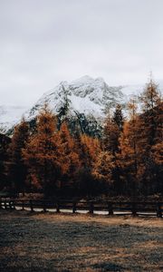 Preview wallpaper mountain, snow, trees, road, fence