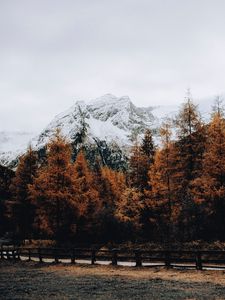Preview wallpaper mountain, snow, trees, road, fence