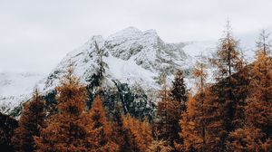 Preview wallpaper mountain, snow, trees, road, fence