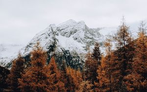 Preview wallpaper mountain, snow, trees, road, fence