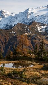 Preview wallpaper mountain, snow, trees, puddle, landscape