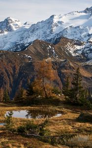 Preview wallpaper mountain, snow, trees, puddle, landscape