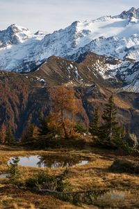 Preview wallpaper mountain, snow, trees, puddle, landscape