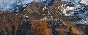 Preview wallpaper mountain, snow, trees, puddle, landscape