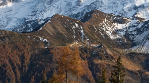 Preview wallpaper mountain, snow, trees, puddle, landscape