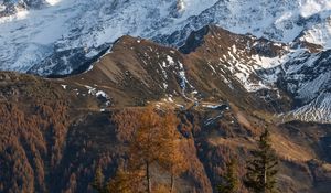 Preview wallpaper mountain, snow, trees, puddle, landscape