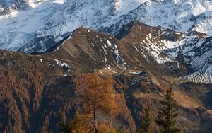 Preview wallpaper mountain, snow, trees, puddle, landscape