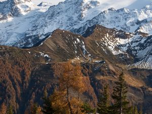 Preview wallpaper mountain, snow, trees, puddle, landscape