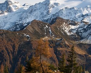Preview wallpaper mountain, snow, trees, puddle, landscape